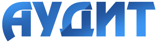 audit_mag_logo.png