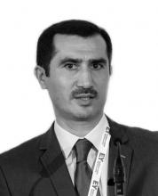 Заместитель начальника Учебного центра Министерства налогов Азербайджанской Республики, доцент юридического факультета Бакинского Государственного Университета, д.ю.н., к.э.н.